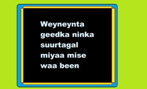 Weyneynta geedka ninka suurtagal miyaa mise waa been