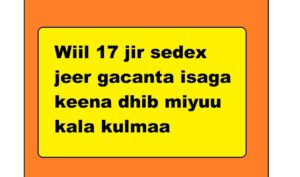 Wiil 17 jir sedex jeer gacanta isaga keena dhib miyuu kala kulmaa