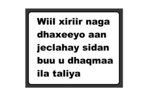 Wiil xiriir naga dhaxeeyo aan jeclahay sidan buu u dhaqmaa ila taliya