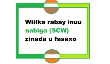 Wiilka rabay inuu nabiga (SCW) zinada u fasaxo