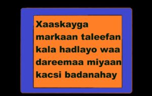 Xaaskayga markaan taleefan kala hadlayo waa dareemaa miyaan kacsi badanahay