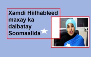 Xamdi Hiilhableed maxay ka dalbatay Soomaalida