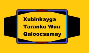 Xubinkayga Taranku Wuu Qaloocsamay