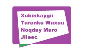 Xubinkaygii Taranku Wuxuu Noqday Maro Jileec