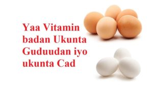 Yaa Vitamin badan Ukunta Guduudan iyo ukunta Cad