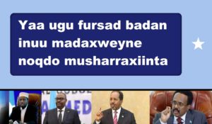 Yaa ugu fursad badan inuu madaxweyne noqdo musharraxiinta