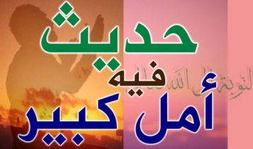 شرح واف لحديث لم تذنبوا لذهب الله بكم