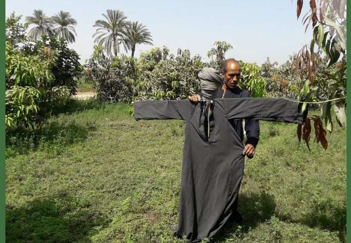 صورة خيال مآتة من مصر