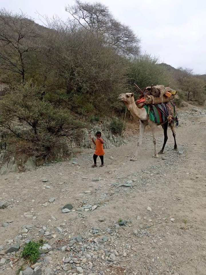 صور لها حكاية في الذاكرة الصومالية