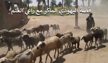 قصة اليهودي الماكر مع راعي الغنم 