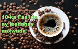 10-ka Faa'ido ay leedahay qaxwada