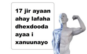 17 jir ayaan ahay lafaha dhexdooda ayaa i xanuunayo