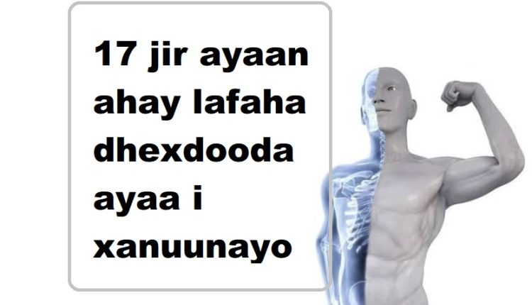 17 jir ayaan ahay lafaha dhexdooda ayaa i xanuunayo