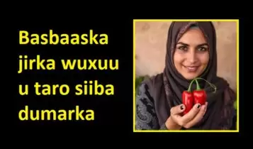 Basbaaska jirka wuxuu u taro siiba dumarka Basbaaska jirka wuxuu u taro siiba dumarka