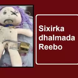 Sixirka dhalmada Reebo