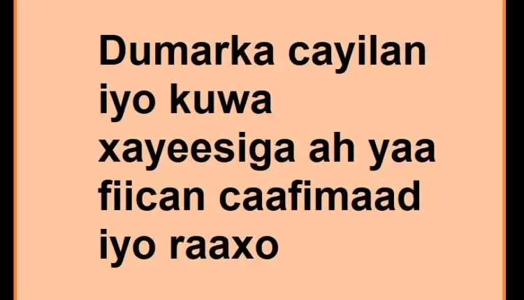 Dumarka cayilan iyo kuwa xayeesiga ah yaa fiican caafimaad iyo raaxo