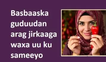 Basbaaska guduudan arag jirkaaga waxa uu ku sameeyo Basbaaska guduudan arag jirkaaga waxa uu ku sameeyo