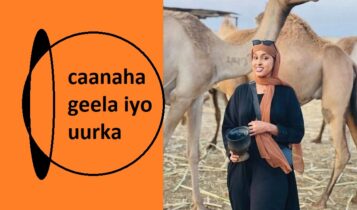 caanaha geela iyo uurka caanaha geela iyo uurka