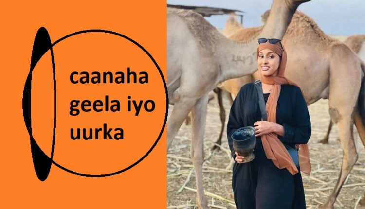 caanaha geela iyo uurka