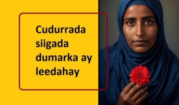 Cudurrada siigada dumarka ay leedahay Cudurrada siigada dumarka ay leedahay