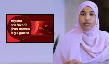 Manida ninka oo jiran