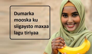 Dumarka mooska ku siigaysto maxaa lagu tiriyaa Dumarka mooska ku siigaysto maxaa lagu tiriyaa