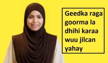 Geedka raga goorma la dhihi karaa wuu jilcan yahay