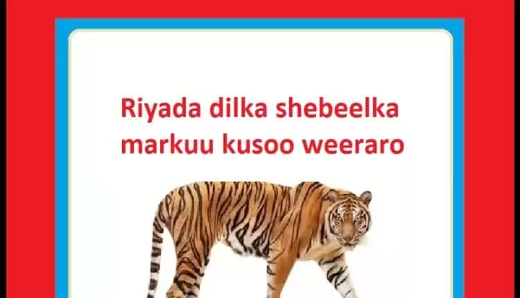 Riyada dilka shebeelka markuu kusoo weeraro