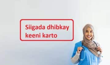 Siigada dhibkay keeni karto Siigada dhibkay keeni karto