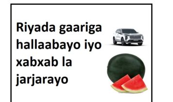 Riyada gaariga hallaabayo iyo xabxab la jarjarayo Riyada gaariga hallaabayo iyo xabxab la jarjarayo