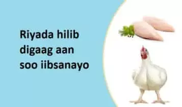 Riyada hilib digaag aan soo iibsanayo Riyada hilib digaag aan soo iibsanayo