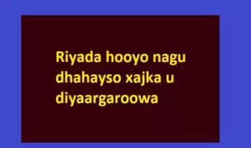 Riyada hooyo nagu dhahayso xajka u diyaargaroowa Riyada hooyo nagu dhahayso xajka u diyaargaroowa