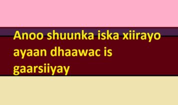 Anoo shuunka iska xiirayo ayaan dhaawac is gaarsiiyay Anoo shuunka iska xiirayo ayaan dhaawac is gaarsiiyay
