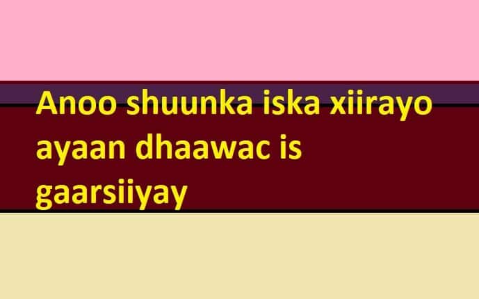 Anoo shuunka iska xiirayo ayaan dhaawac is gaarsiiyay
