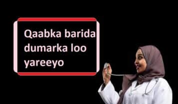 Qaabka barida dumarka loo yareeyo Qaabka barida dumarka loo yareeyo
