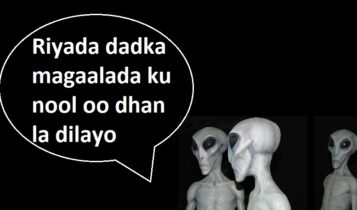 Riyada dadka magaalada ku nool oo dhan la dilayo Riyada dadka magaalada ku nool oo dhan la dilayo