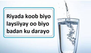 Riyada koob biyo laysiiyay oo biyo badan ku darayo Riyada koob biyo laysiiyay oo biyo badan ku darayo