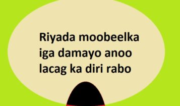 Riyada moobeelka iga damayo anoo lacag ka diri rabo Riyada moobeelka iga damayo anoo lacag ka diri rabo