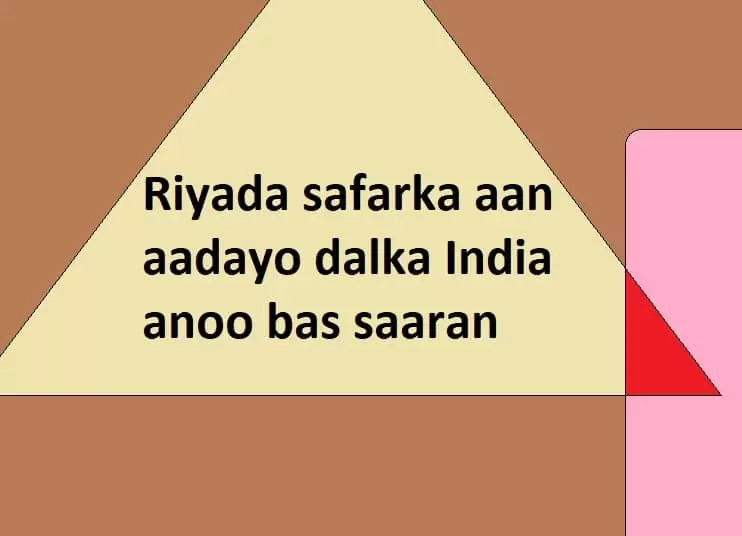 Riyada safarka aan aadayo dalka India anoo bas saaran