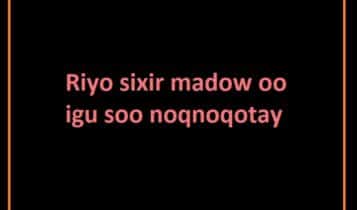 Riyo sixir madow oo igu soo noqnoqotay Riyo sixir madow oo igu soo noqnoqotay