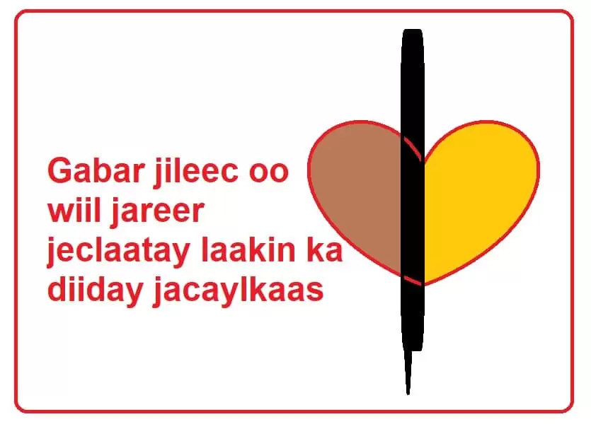 Gabar jileec oo wiil jareer jeclaatay laakin ka diiday jacaylkaas
