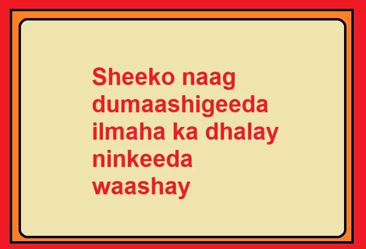 Sheeko naag dumaashigeeda ilmaha ka dhalay ninkeeda waashay