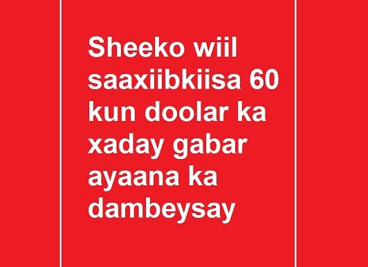 Sheeko wiil saaxiibkiisa 60 kun doolar ka xaday gabar ayaana ka dambeysay1