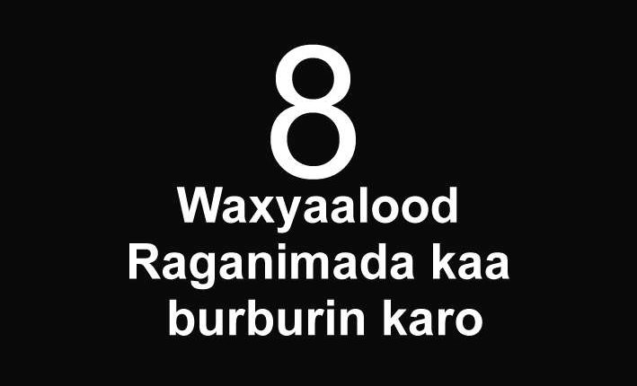 8 Waxyaalood Raganimada kaa burburin karo