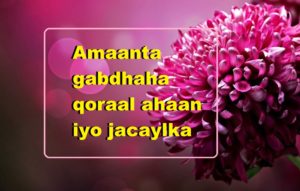 Amaanta gabdhaha qoraal ahaan iyo jacaylka