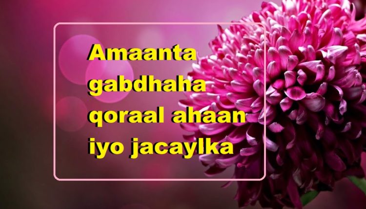 Amaanta gabdhaha qoraal ahaan iyo jacaylka