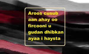 Aroos cusub aan ahay oo fircooni u gudan dhibkan ayaa i haysta