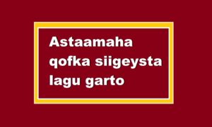 Astaamaha qofka siigeysta lagu garto