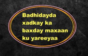 Badhidayda xadkay ka baxday maxaan ku yareeyaa