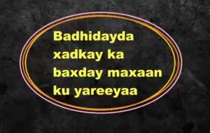 Badhidayda xadkay ka baxday maxaan ku yareeyaa Badhidayda xadkay ka baxday maxaan ku yareeyaa
